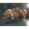 Malování podle čísel - LEV A LVICE U NAPAJEDLA (D. RUSTY RUST)