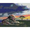 Malování podle čísel - LEV NA TRÁVĚ PŘI ZÁPADU SLUNCE (D. RUSTY RUST)