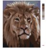 Malování podle čísel - LVÍ HLAVA (D. RUSTY RUST)