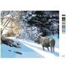Malování podle čísel - LOS V ZASNĚŽENÉM LESE (D. RUSTY RUST)