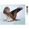 Malování podle čísel - OREL V LETU (D. RUSTY RUST)