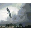 Malování podle čísel - OREL V LETU A BOUŘKOVÉ MRAKY (D. RUSTY RUST)