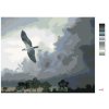 Malování podle čísel - OREL V LETU A BOUŘKOVÉ MRAKY (D. RUSTY RUST)