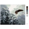Malování podle čísel - OREL V LETU A STROMY (D. RUSTY RUST)