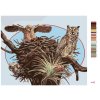 Malování podle čísel - SOVY A HNÍZDO (D. RUSTY RUST)