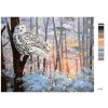 Malování podle čísel - SNĚŽNÁ SOVA V LESE (D. RUSTY RUST)