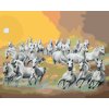 Malování podle čísel - BÍLÉ KONĚ V MRACÍCH A SLUNCE (D. RUSTY RUST)
