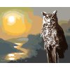 Malování podle čísel - SOVA, ŘEKA A ZÁPAD SLUNCE (D. RUSTY RUST)