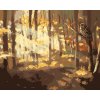 Malování podle čísel - SOVA A LES NA PODZIM (D. RUSTY RUST)