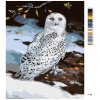Malování podle čísel - SNĚŽNÁ SOVA V ZIMĚ (D. RUSTY RUST)