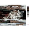 Malování podle čísel - SNĚŽNÝ LEOPARD V ÚKRYTU (D. RUSTY RUST)