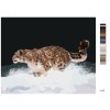 Malování podle čísel - SNĚŽNÝ LEOPARD V BĚHU VE SNĚHU (D. RUSTY RUST)