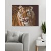 Malování podle čísel - TYGR PORTRÉT (D. RUSTY RUST)