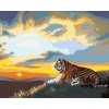 Malování podle čísel - TYGR A ZÁPAD SLUNCE (D. RUSTY RUST)
