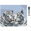 Malování podle čísel - BÍLÝ TYGR PORTRÉT (D. RUSTY RUST)