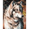 Malování podle čísel - PORTRÉT VLKA