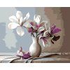 Malování podle čísel - MAGNÓLIE 4