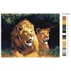 Malování podle čísel - LEV A LVICE V TRÁVĚ
