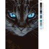 Malování podle čísel - MODROOKÁ KOČKA VE TMĚ