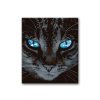 Malování podle čísel - MODROOKÁ KOČKA VE TMĚ