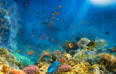 Światowy Dzień Oceanów