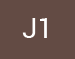 J1