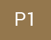 P1