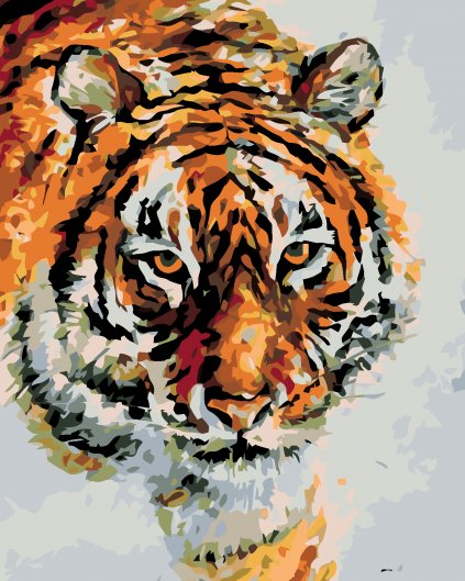 Malowanie po numerach - Tygrys na śniegu