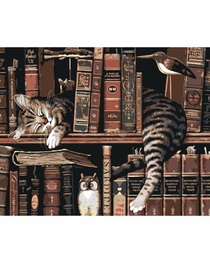 Malowanie po numerach - Kot w bibliotece