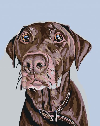 Malowanie po numerach - Brązowy pies z obroża