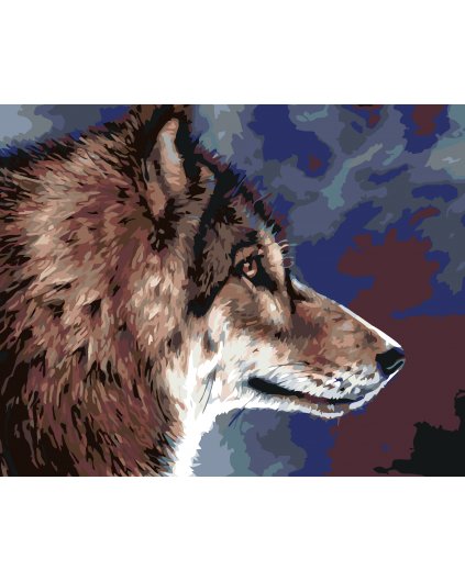 Malowanie po numerach - Głowa wilka
