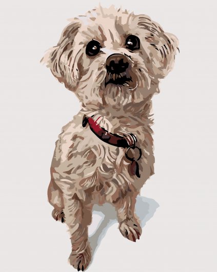 Malowanie po numerach - Maltańczyk