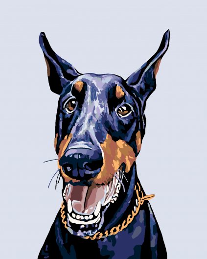 Malowanie po numerach - Doberman