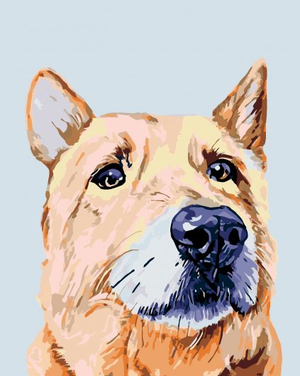 Malowanie po numerach - Smutny pies
