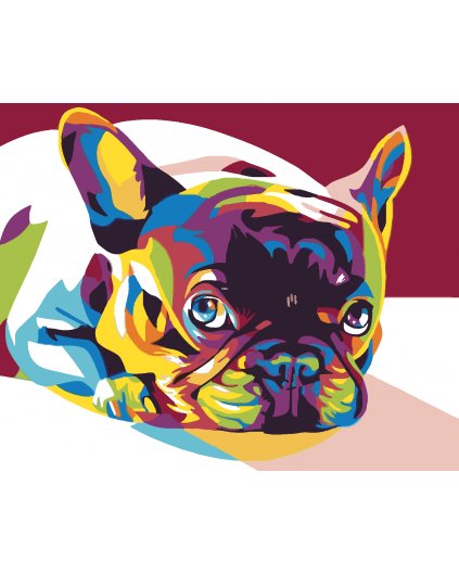 Malowanie po numerach - Kolorowy Bulldog