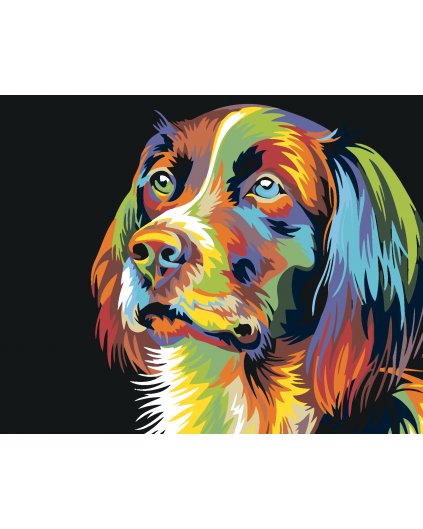 Malowanie po numerach - Kolorowy pies