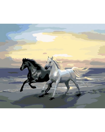 Malowanie po numerach - Konie na plaży