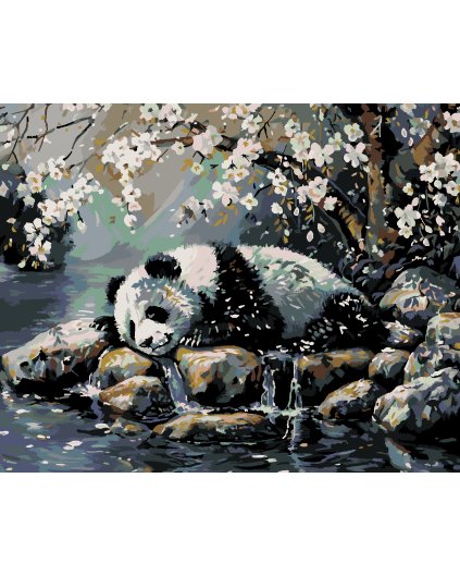 Malowanie po numerach - ŚPIĄCA PANDA I KWITNĄCE DRZEWO