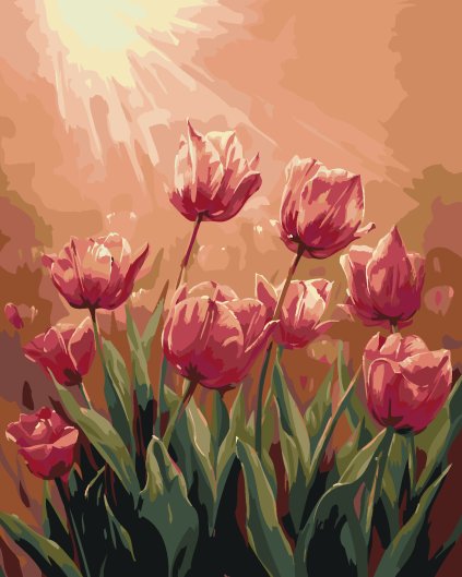 Malowanie po numerach - TULIPANY