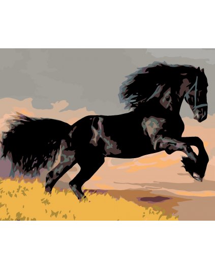 Malowanie po numerach - czarny koń