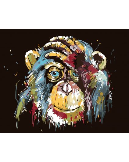 Malowanie po numerach - Śmieszna małpa