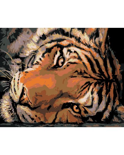 Malowanie po numerach - Spojrzenie tygrysa