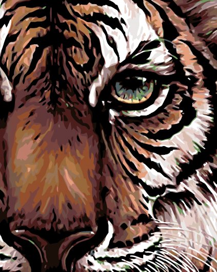 Malowanie po numerach - Oko tygrysa