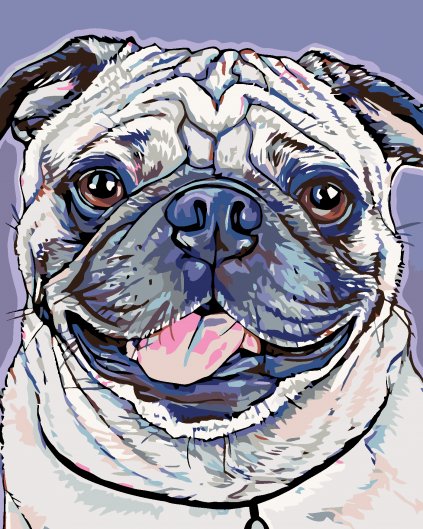 Malowanie po numerach - Mops