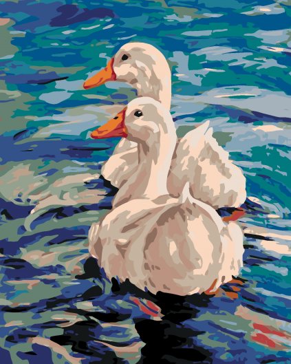 Malowanie po numerach - Dwie kaczki na wodzie