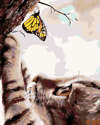 Malowanie po numerach - Kot i żółty motyl
