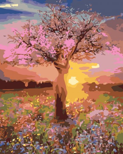 Malowanie po numerach - Świt i kwitnaca jabłoń
