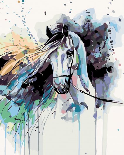 Malowanie po numerach - Kobieta i czarny koń