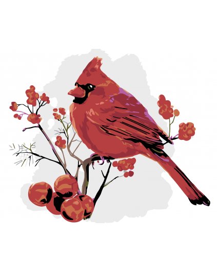 Malowanie po numerach - Czerwony ptak w jarzębinie