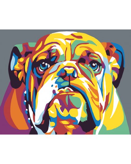 Malowanie po numerach - Kolorowy bulldog
